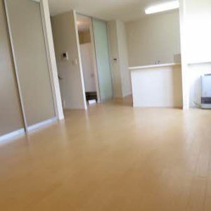 Ｓｈａ　Ｍａｉｓｏｎ　Ｎ 0102号-11