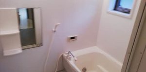 メゾンけやきC C106号-9