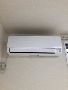 アムール雅 0102号-10