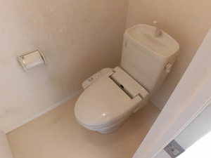 シャーメゾンフェリス 0101号-12