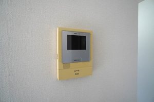 メゾンリュミシーリ 0202号-11