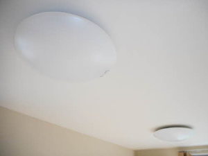 シャーメゾン　シーマウス B102号-11