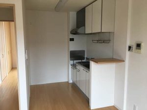 シャンティ 0101号-3