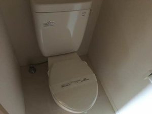 シャンティ 0101号-9