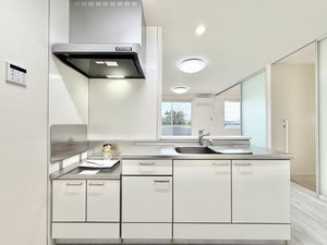 メゾン　ド　ファミーユ 0202号-4