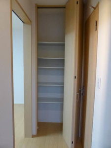 ポドカーパス A101号-3