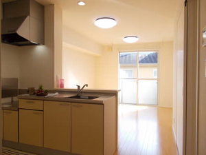 ブラウニー 0202号-3