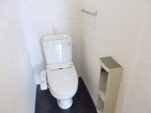 ブラウニー 0202号-9