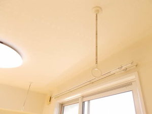 ブラウニー 0202号-13