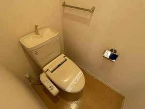 ガーデンシティ長倉 H102号-15