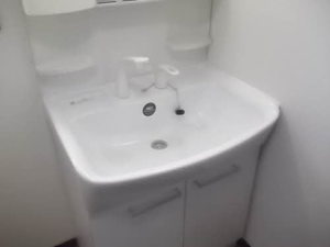 ディアスビーネ高田 201号-4