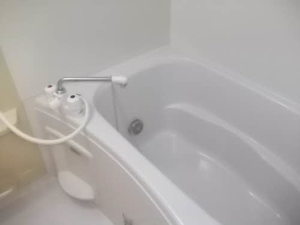 ディアスビーネ高田 201号-5