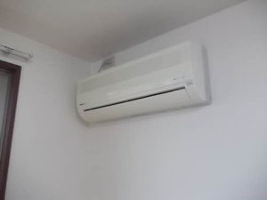 ディアスビーネ高田 201号-6