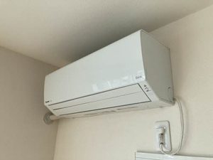 アニマルワン B202号-11