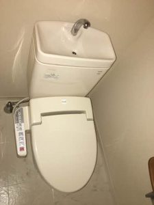 アニマルワン D103号-12