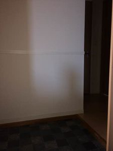 アニマルワン E201号-3