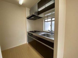 ラプランタン 000B号-3