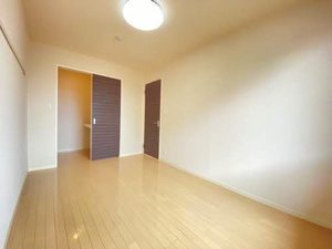 ラプランタン 000B号-8