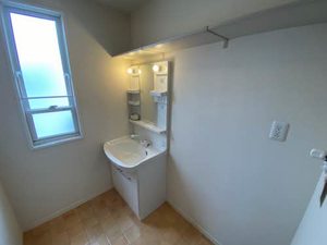 ラプランタン 000B号-12