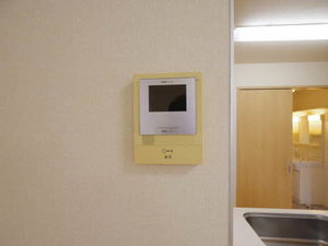 ラグラシューズ A102号-14