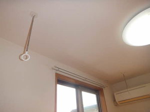 ウィスタリア 0203号-7