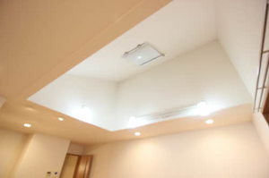 アレグーリア雅 B201号-5