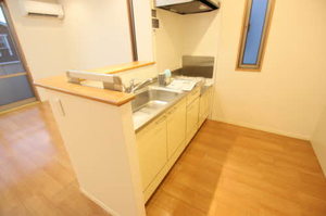 アレグーリア雅 B201号-6