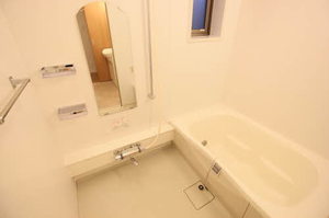 アレグーリア雅 B201号-11