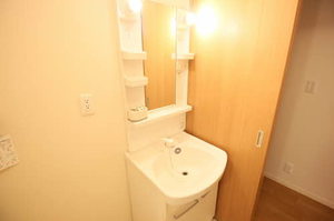 アレグーリア雅 B201号-13