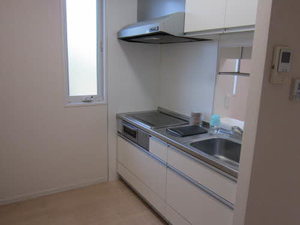 ファイン　コート 0101号-10