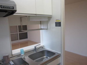 ファイン　コート 0101号-11