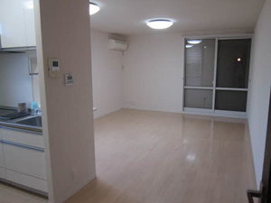 ファイン　コート 0101号-13