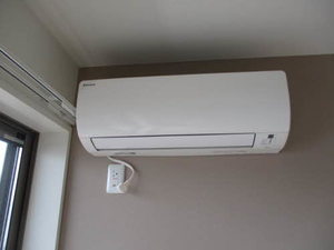 Ｐｒｅｍｉａｓ 0306号-13