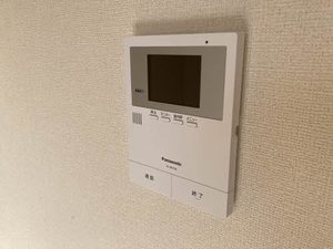 スカイハウス 0101号-8