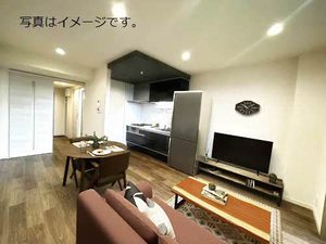 シャトレ小杉 0203号-1