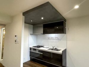 シャトレ小杉 0203号-3