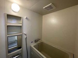 シャトレ小杉 0203号-6