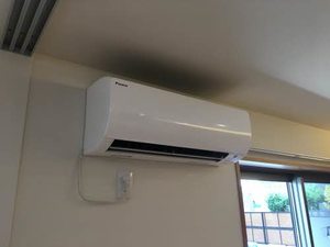 フェリシード 0102号-8