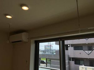 フェリシード 0203号-4