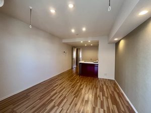 フェリシード 0205号-3