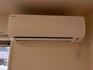 フェリシード 0205号-6