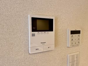 フェリシード 0205号-7