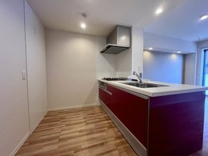 フェリシード 0205号-8