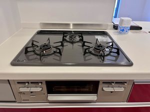 フェリシード 0205号-15