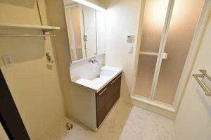 ＬｏｕｉｓＡｎｇｅ 0301号-8