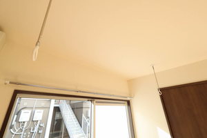 フレグランスグレープ B101号-6