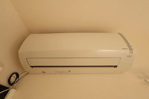 フレグランスグレープ B101号-7