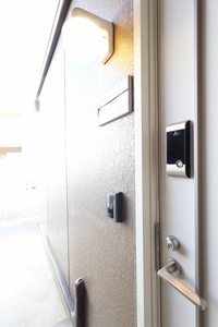 フレグランスグレープ B101号-15