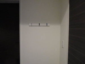 ＺＥＨ２１ 0102号-11