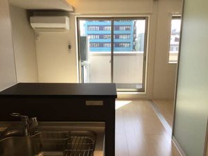 ZEH21 0302号-9